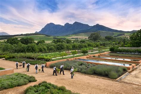  Babylonstoren Wine Estate – Một Thiên Đường Ngọt ngào Cho Những Tình Yêu Rượu Vang!