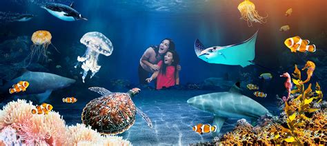  The Stunning Oceanic Aquarium: A Plunge into Brazil's Underwater Wonderland!